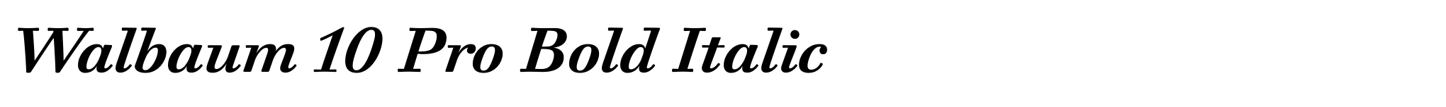 Walbaum 10 Pro Bold Italic image